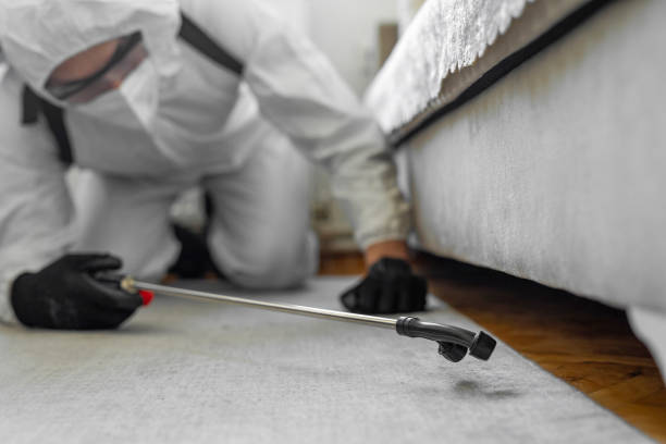 Professional Bed Bug Control technician working in Bloomingdale, FL