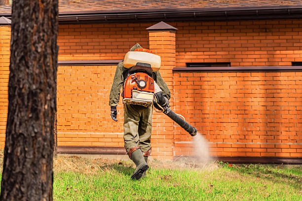 Trusted Ant Control service in Bloomingdale, FL - Nex Pest Control